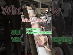 Μηχανή συσκευασίας καταψυγμένων τροφίμων με κρέας από ανοξείδωτο χάλυβα τροφίμων 304/316 Σφραγίδα διατήρησης υπό κενό